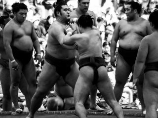 Tous les places ayant une vue magnifique alors que les meilleurs lutteurs sumo démonstrent leur habileté pour les spectateurs