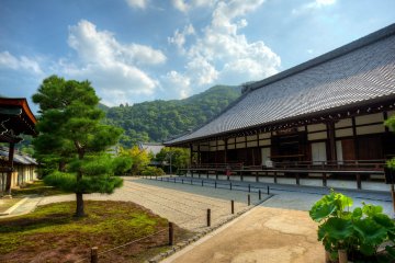 Tenryu-ji Temple in Summer