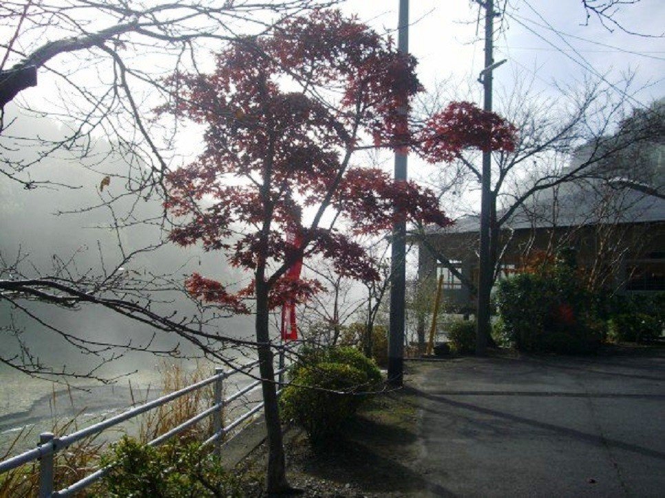 Pegunungan berkabut di Tsuyama, Prefektur Okayama hanya beberapa jam sebelah barat Kyoto