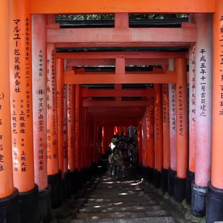 Hành trình xung quanh đền Fushimi Inari