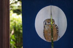 Lucky cats to lucky owls &ndash; just one of many entrances to a garden cafe