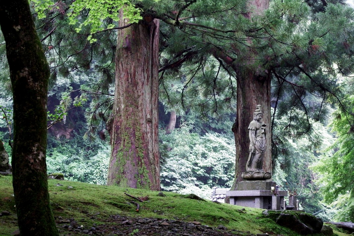 永平寺通用門へと続く参道沿いには、緑の森の中、観音像が静かに佇んでいる