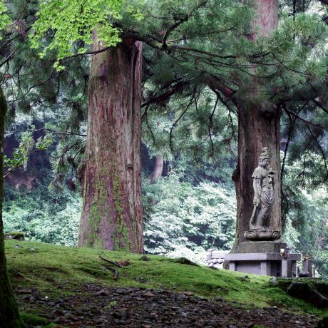 Eiheiji - Temple of Eternal Peace