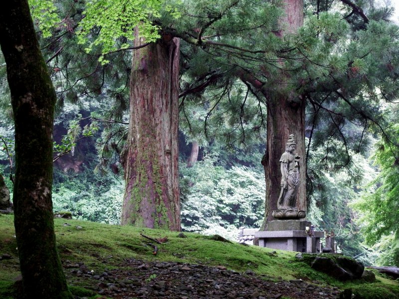 <p>Along the walkway leading towards the entrance gate of Eiheiji Temple, the statue of Goddess of Mercy stands silently in a green forest</p>