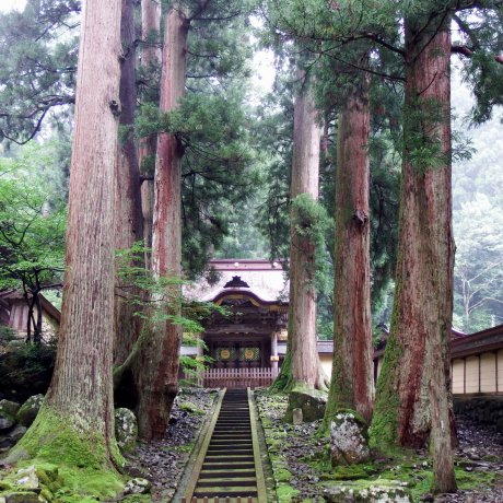Cổng Karamon mang tính biểu tượng của Eiheiji