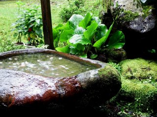 吉祥閣前の庭園に置かれた手水鉢。底には賽銭が沈んでいる