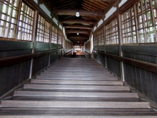 Hattō (Lecture Hall) is located at the highest place on the temple grounds, at the top of the hill, and visitors have to climb up up up the long stairs!