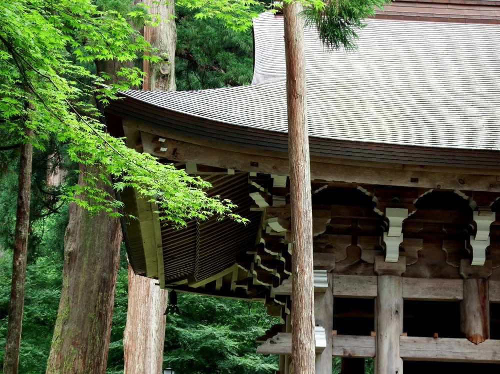 Belfry of Eiheiji Temple surrounded by tall cedar trees
