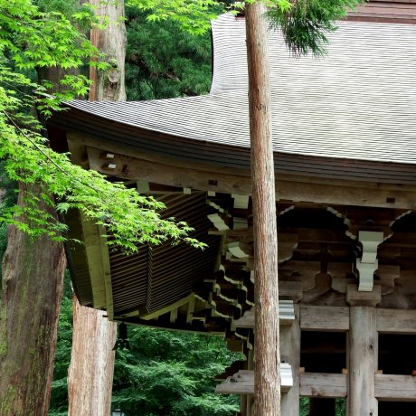 Gác chuông nổi tiếng của chùa Eiheiji 