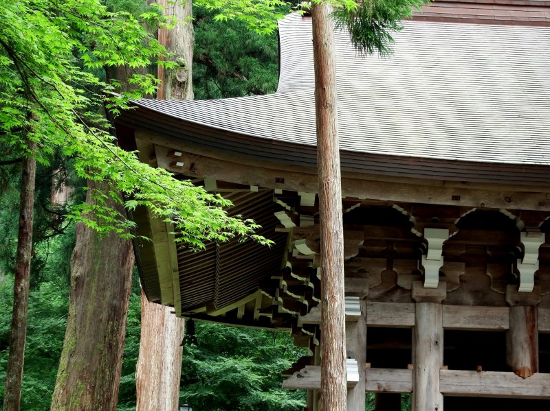 <p>Belfry of Eiheiji Temple surrounded by tall cedar trees</p>