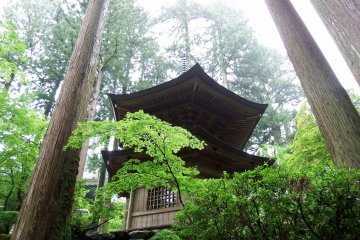<p>Pagoda in the forest looking fresh after a summer shower</p>