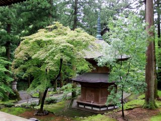 Beautiful pagoda stands silently in a garden