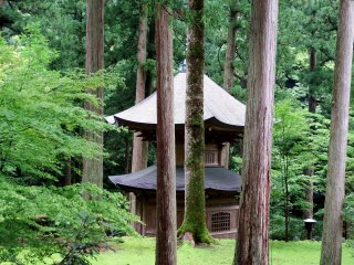 Pagoda surrounded by tall cedar trees