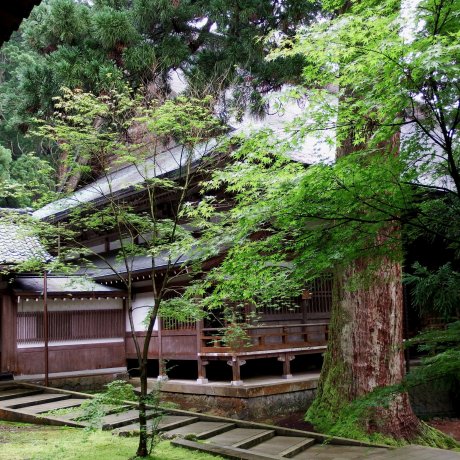 Lăng mộ lớn của chùa Eiheiji