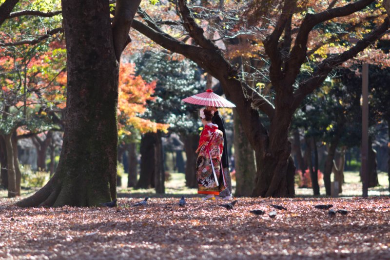 Japanese couple strolling around in the park