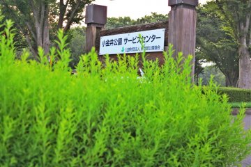 小金井公园