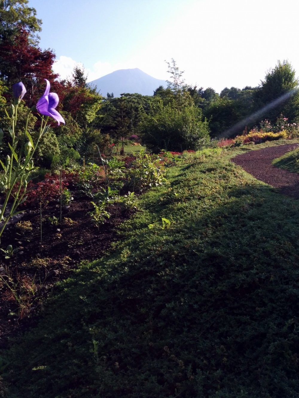 Mặt trời buổi chiều bắt đầu lặn. Núi Iwate đứng hiên ngang trong tầm nhìn
