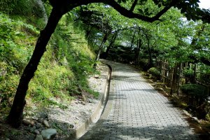 Untuk mencapai kastil di puncak bukit, JapanTravel harus menaiki tanjakan ringan beraspal dengan pepohonan di kedua sisinya.