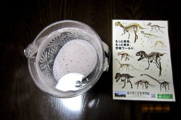 <p>ДЕНЬ 1: Яйцо Динозавра, купленное в сувенирной лавке в Музее Динозавров Фукуи. В инструкции сказано, что я должен положить яйцо в воду и ждать...</p>