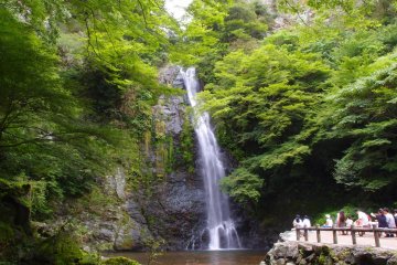 <p>Minoh Waterfall</p>