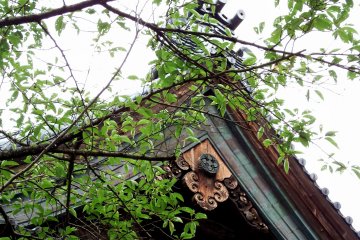 <p>Temple roof seen through green leaves</p>