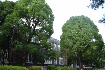 <p>ภายในมหาวิทยาลัยเต็มไปด้วยต้นไม้อันร่มรื่นเขียวขจี</p>