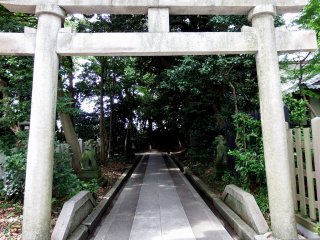 As soon as you enter the main torii gate of Kehi Jingu Shrine, you&#39;ll see on the left the small stone torii gate and pathway leading to one of the smaller shrines on the grounds
