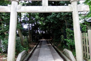 <p>As soon as you enter the main torii gate of Kehi Jingu Shrine, you&#39;ll see on the left the small stone torii gate and pathway leading to one of the smaller shrines on the grounds</p>