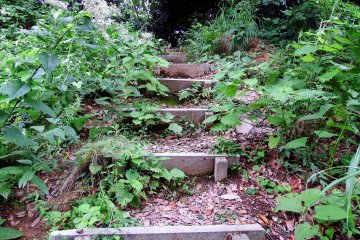 <p>Intrigued, I climbed the narrow stairs to see the site</p>