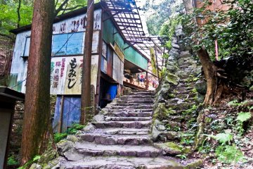 <p>Some rather run-down looking souvenir shops along the approach to the last of the two remaining waterfalls</p>