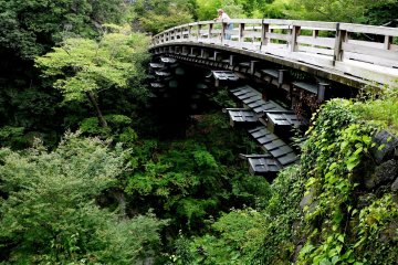 <p>Saruhashi - the Monkey Bridge</p>