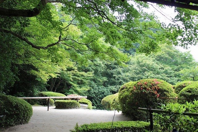 ６月の新緑に萌える詩仙堂丈山寺