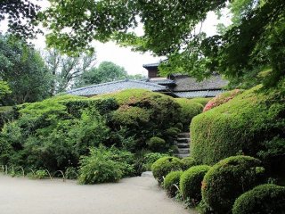 詩仙堂の庭園は唐様庭園と呼ばれる。南面の斜面に広がるこの庭園は丈山の好みであった