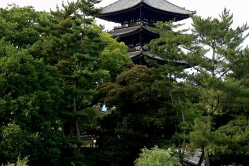 <p>Kofukuji&#39;s pagoda rising from the trees &nbsp;</p>
