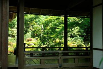 <p>I stopped in my tracks and appreciated the serene view of this brilliant garden that sits in front of the reception hall</p>