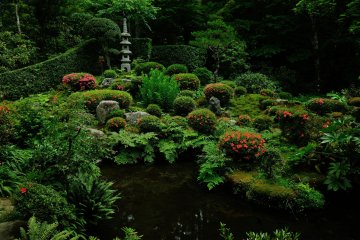 <p>I kept looking at Shuheki-en Garden. My mind was empty and I just wanted to be there for a long, long time</p>