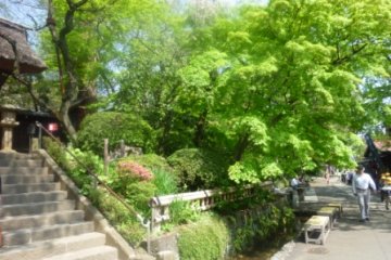 Jindaiji gardens