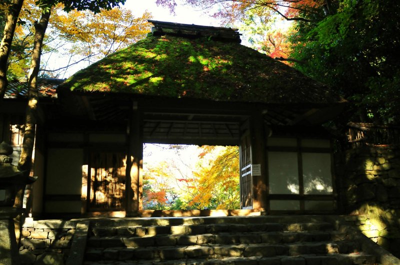 <p>Sukiya style temple gate with thatched-roof</p>