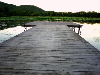 A simple wooden pier juts out into the pond
