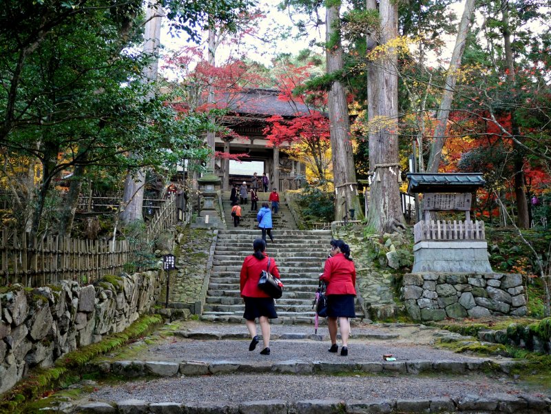 <p>Two tour guides climbing the steps to the gate</p>
