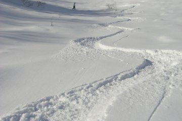 <p>First tracks in the morning</p>