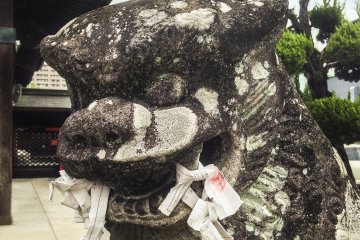 <p>This komainu&nbsp;(mythical lion-dog)&nbsp;has a mouth full of o-mikuji, or fortunes written on paper found at both Shinto and Buddhist shrines in Japan.</p>