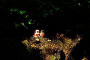 <p>All over the temple grounds, Daruma dolls catch your eye</p>