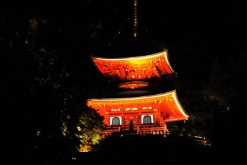 The vermilion hue of the two-storied pagoda illuminated at night is nothing but beautiful