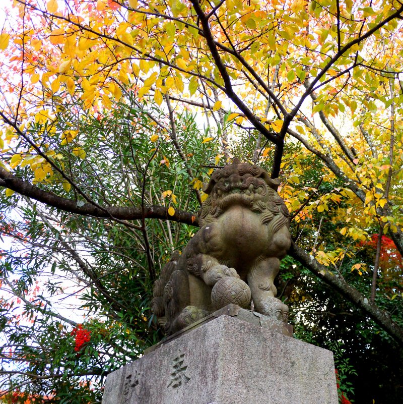 <p>Guarding the entrance to the shrine</p>