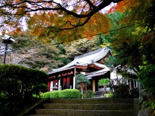 Sonsho-in is small but beautiful &nbsp;