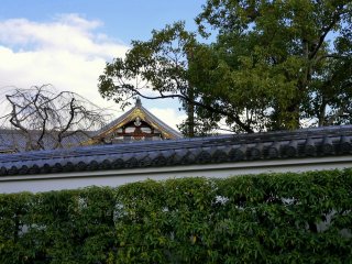 A glimpse of the temple roof over the wall