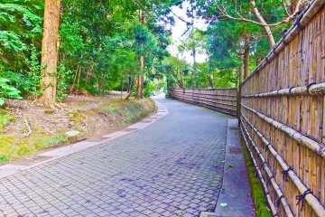 <p>The start of the Daibutsu Hiking Course passes along a pretty little road within a quiet residential area</p>