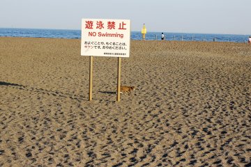 <p>The beach is pretty much for hanging out on and enjoying the ocean, the water is not safe for swimming or playing around in, and the sign has a strange enforcer cat to make sure rules are obeyed.&nbsp;</p>