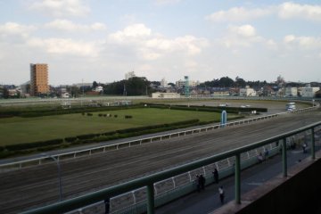 The track